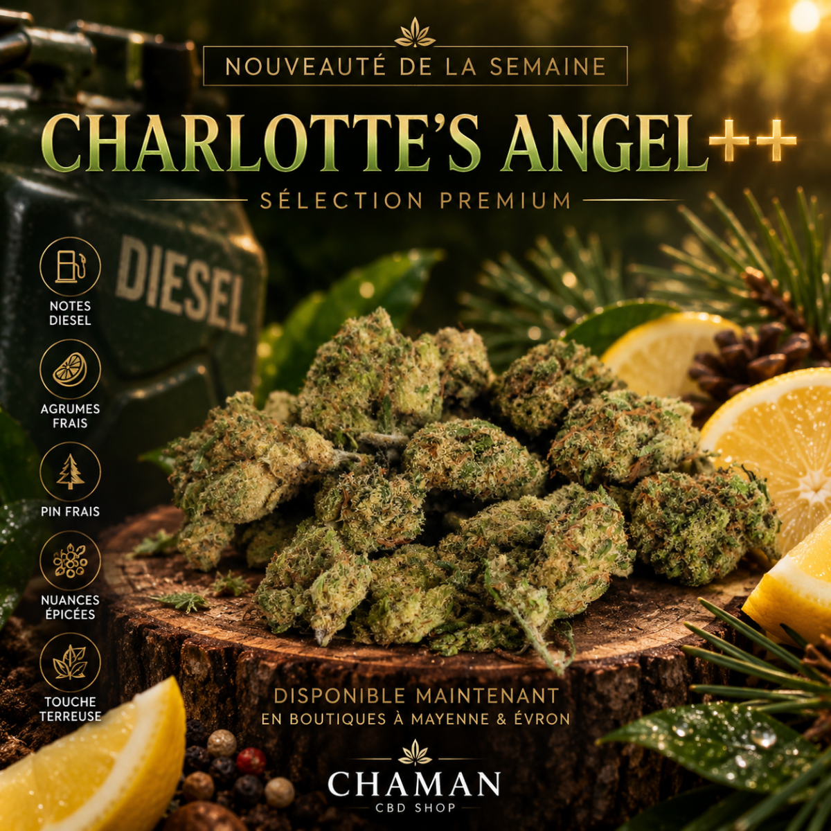 Produits CBD de qualité premium à Château-Gontier