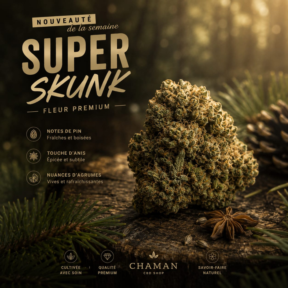 CBD haut de gamme Laval